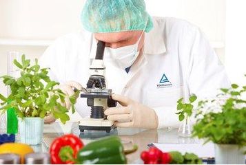 食品檢驗內容包括什么？